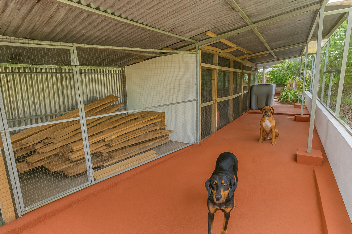 Small Animal Enclosure