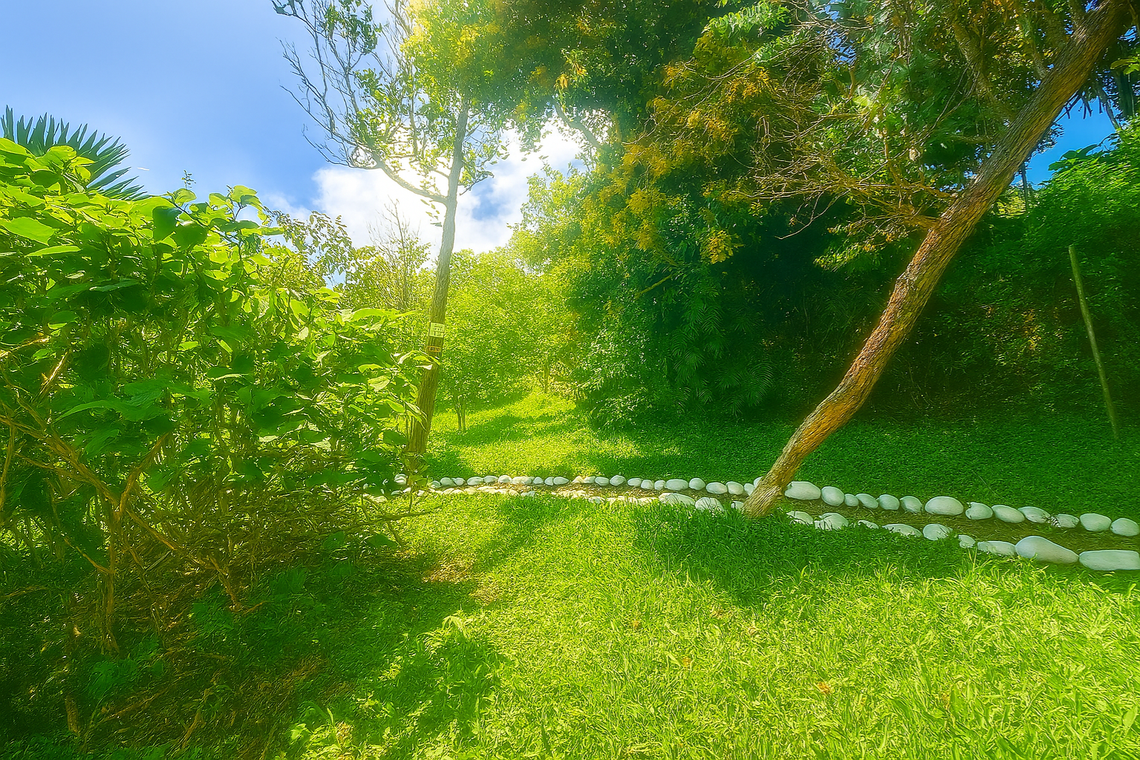 Stone-Lined Walkway